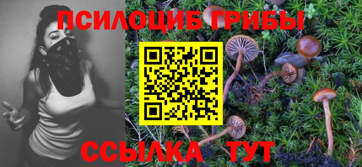 Псилоцибиновые грибы GOLDEN TEACHER  Вход с VPN  Дивногорск 
